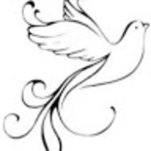 Meet your Posher, Dalady